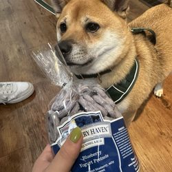 Blueberry Haven - Yoshi approving the blueberry covered pretzels hand made in house.