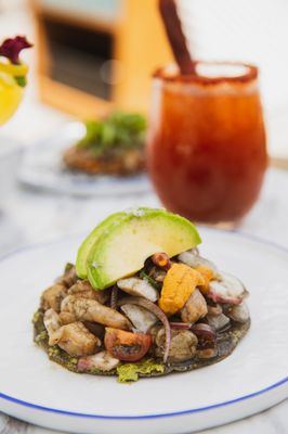 Crudo Ceviche & Oyster Bar by null