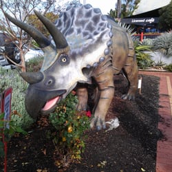 Gardenworld Nursery - Triceratops