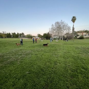 Lonny Brewer County Park - Great for a party or picnic with the pups. - Parks Near Me - La Mesa, California Lonny Brewer County Park - Great for a party or picnic with the pups. - Parks Near Me - La Mesa, California