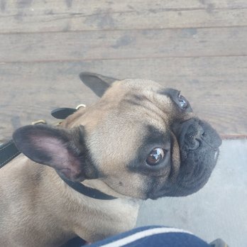 Cafe Smitten - Carlito loves their PB cookies - Coffee & Tea Near Me - Bakersfield, California