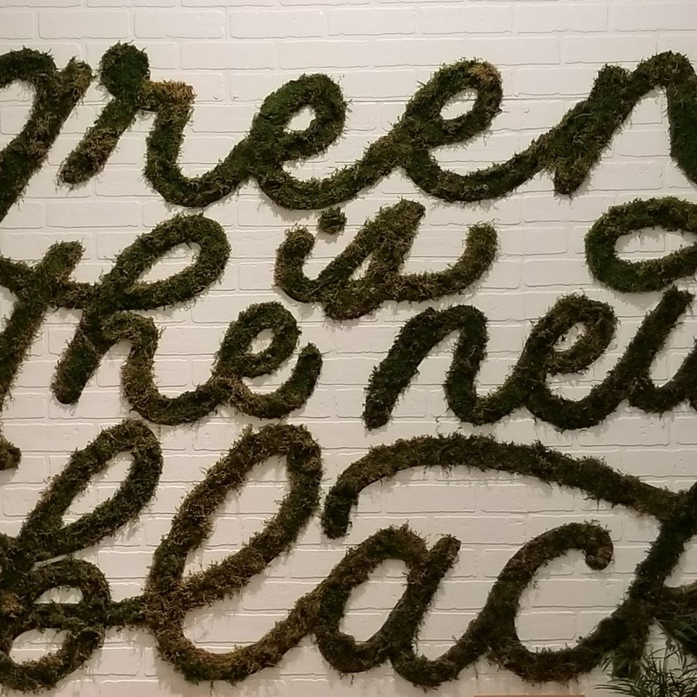 Dennis' 7 Dees Garden Centers - Back wall - makes every photo Instagram worthy. - Nurseries & Gardening Near Me - Tigard, Oregon