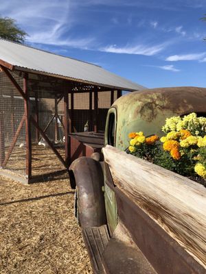 The Farm at South Mountain by null