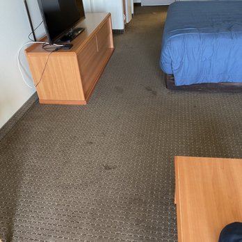 Ocean Paradise - Stains - Hotels Near Me - Ocean Shores, Washington Ocean Paradise - Stains - Hotels Near Me - Ocean Shores, Washington
