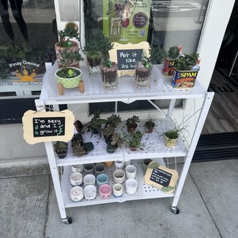 Momstera Lounge - Nurseries & Gardening Near Me - Campbell, California Momstera Lounge - Nurseries & Gardening Near Me - Campbell, California