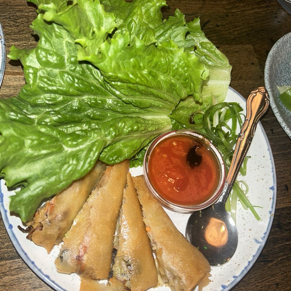 Reckless Noodle House - Duck rolls (I don't remember the name ) - Noodles Near Me - Denver, Colorado