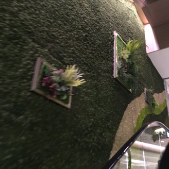 K11 廣場 - Greenery along the escalator - Shopping Centers Near Me - Hong Kong, HK
