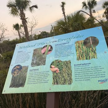 Everglades Elevated Boardwalk - Nature facts all around the premises - Landmarks & Historical Buildings Near Me - Weston, Florida