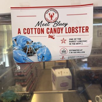 Bar Harbor Lobster Pound - Seafood Near Me - Bar Harbor, Maine