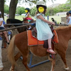 Pony carousel