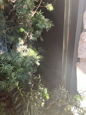 The Monarch Motel by null