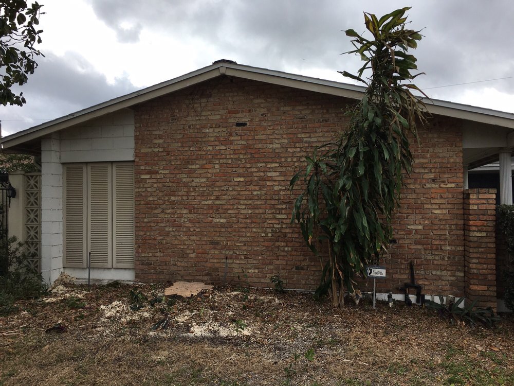 COMPETITIVE TREE SERVICE - Updated May 2024 - 17 Photos & 38 Reviews ...