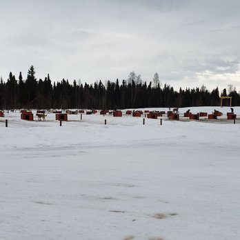 AK Sled Dog Tours - Sledding Near Me - Talkeetna, Alaska AK Sled Dog Tours - Sledding Near Me - Talkeetna, Alaska