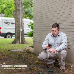 Addison Pest Control of Texas