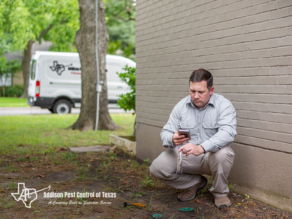 ADDISON PEST CONTROL OF TEXAS Updated September 2024 15 Photos & 12