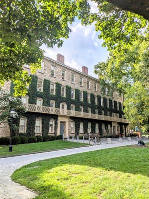 Princeton University by null