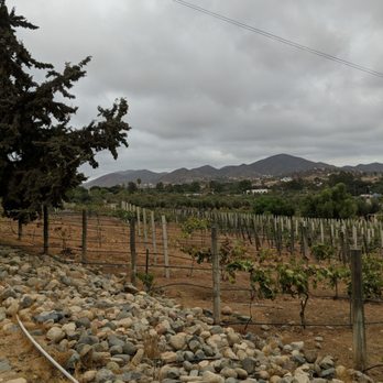 Conchas de Piedra - The winery even looks beautiful on a stormy day! - Seafood Near Me - Villa de Juárez, BCN