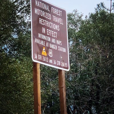 Wawona Campground by null