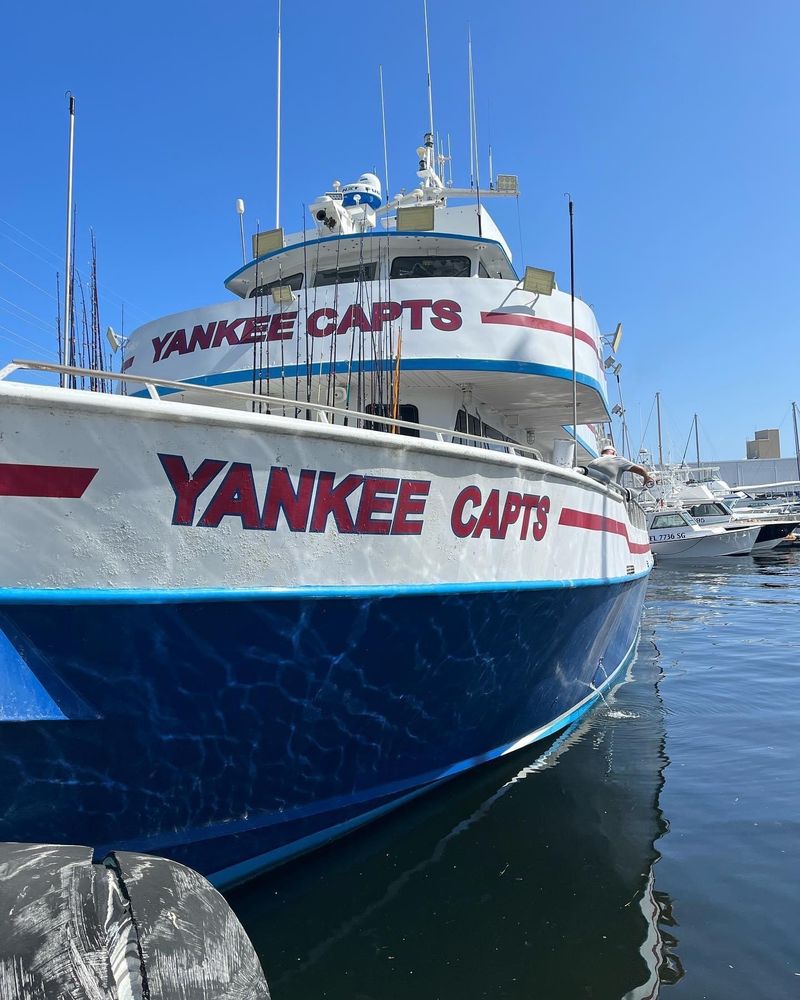 YANKEE CAPTS Updated September 2024 12 Photos 6810 Front St, Key