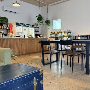 The Honey Bean - Flowers for sale - Coffee & Tea Near Me - San Antonio, Texas The Honey Bean - Flowers for sale - Coffee & Tea Near Me - San Antonio, Texas