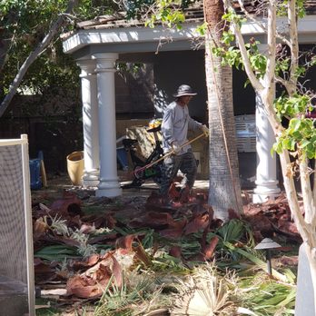 Soto’s Tree Services - Tree Services Near Me Soto’s Tree Services - Tree Services Near Me