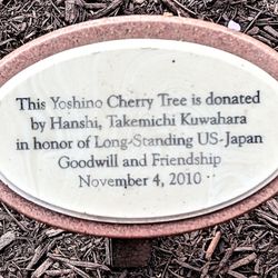 Miyazaki Japanese Garden - This is a dedication marker for one of the Yoshino Cherry Trees. Photo taken March 25, 2023.
