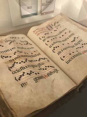 Geigenbaumuseum by null