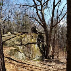 Rock House Reservation - What animal rock like formation do you see?