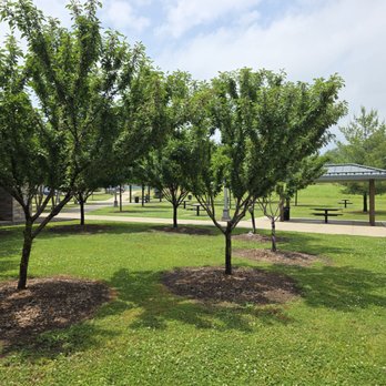 Rest Area 12 - Picnic tables on the west side if rest area - Rest Stops Near Me Rest Area 12 - Picnic tables on the west side if rest area - Rest Stops Near Me