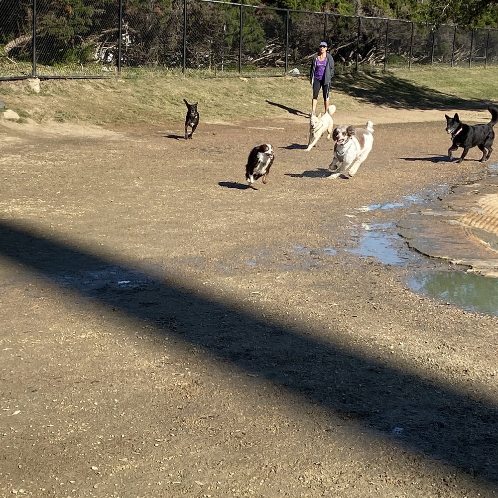 Danny Jackson Dog Park - Running with the pack - Dog Parks Near Me - Houston, Texas