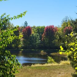 Hummel Park