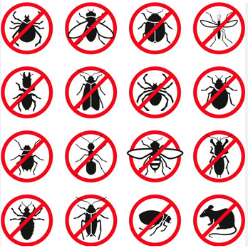 Mars Services - Pest Control Near Me - Haltom City, Texas Mars Services - Pest Control Near Me - Haltom City, Texas