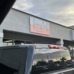Fancy Leaf Plant Co - Store sign- the inside of the store is so beautiful! Definitely worth checking out!