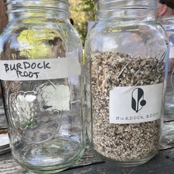 Earth Commons - Herb