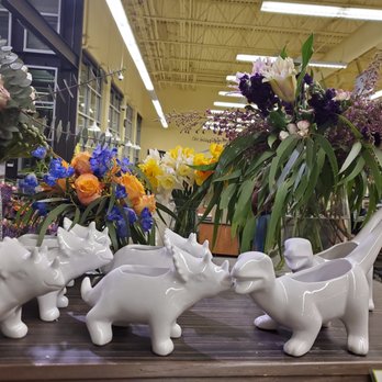 New Seasons Market - Progress Ridge - 3/5/2020 - Dinoplanters! - Grocery Near Me - Beaverton, Oregon