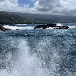 Hawaii Island & Ocean Tours - Hawaii coastline