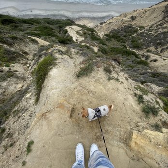 Black's Beach - Beaches Near Me - San Diego, California