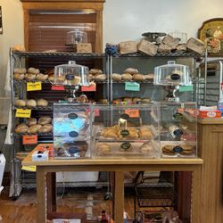 Phoenix Bakery - Bakery options