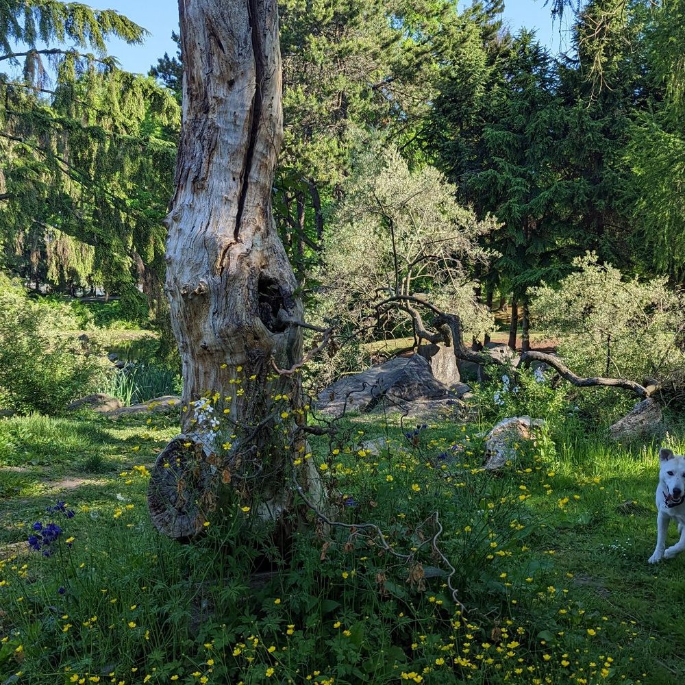 Charleson Park - Parks Near Me - Vancouver, British Columbia