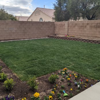 Delfino Maintenance & Landscaping - a back yard - Artificial Turf Near Me Delfino Maintenance & Landscaping - a back yard - Artificial Turf Near Me