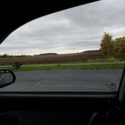 Dollar General - Another place outstanding in it's field