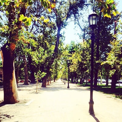 Parque Forestal by null