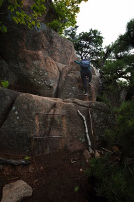 Beehive Trail by null