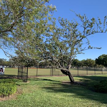 Holiday Park - Dog Parks Near Me - Fort Lauderdale, Florida