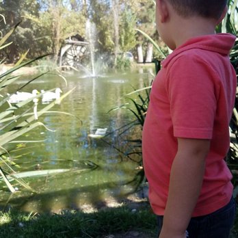 Bloomingcamp Ranch Bake Shop - Beautiful pond in the background with ducks - Bakeries Near Me - Oakdale, California Bloomingcamp Ranch Bake Shop - Beautiful pond in the background with ducks - Bakeries Near Me - Oakdale, California