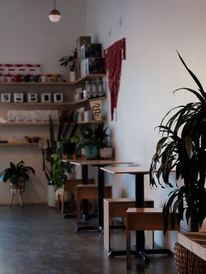 Constellation Coffee by null