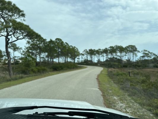 Saint George Island State Campground by null