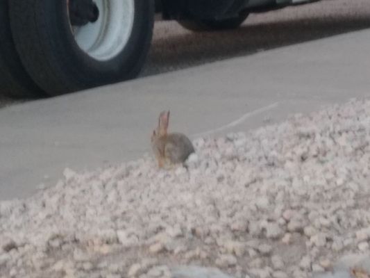 Colorado State Fairgrounds by null