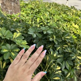 Acrylic Nails