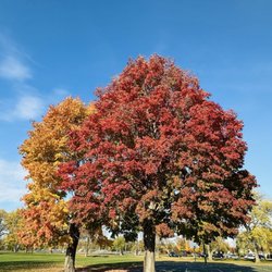 Olbrich Park